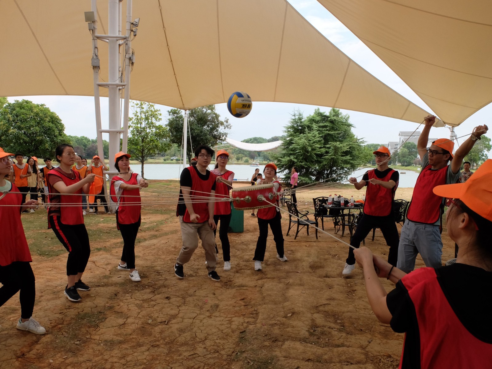 DSCF8254.JPG DSCF8254.JPG